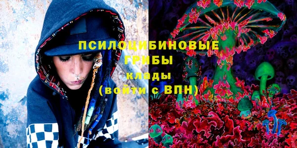 прущая мука Краснослободск