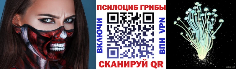 Купить закладки  Карачев  Псилоцибиновые грибы мухоморы 